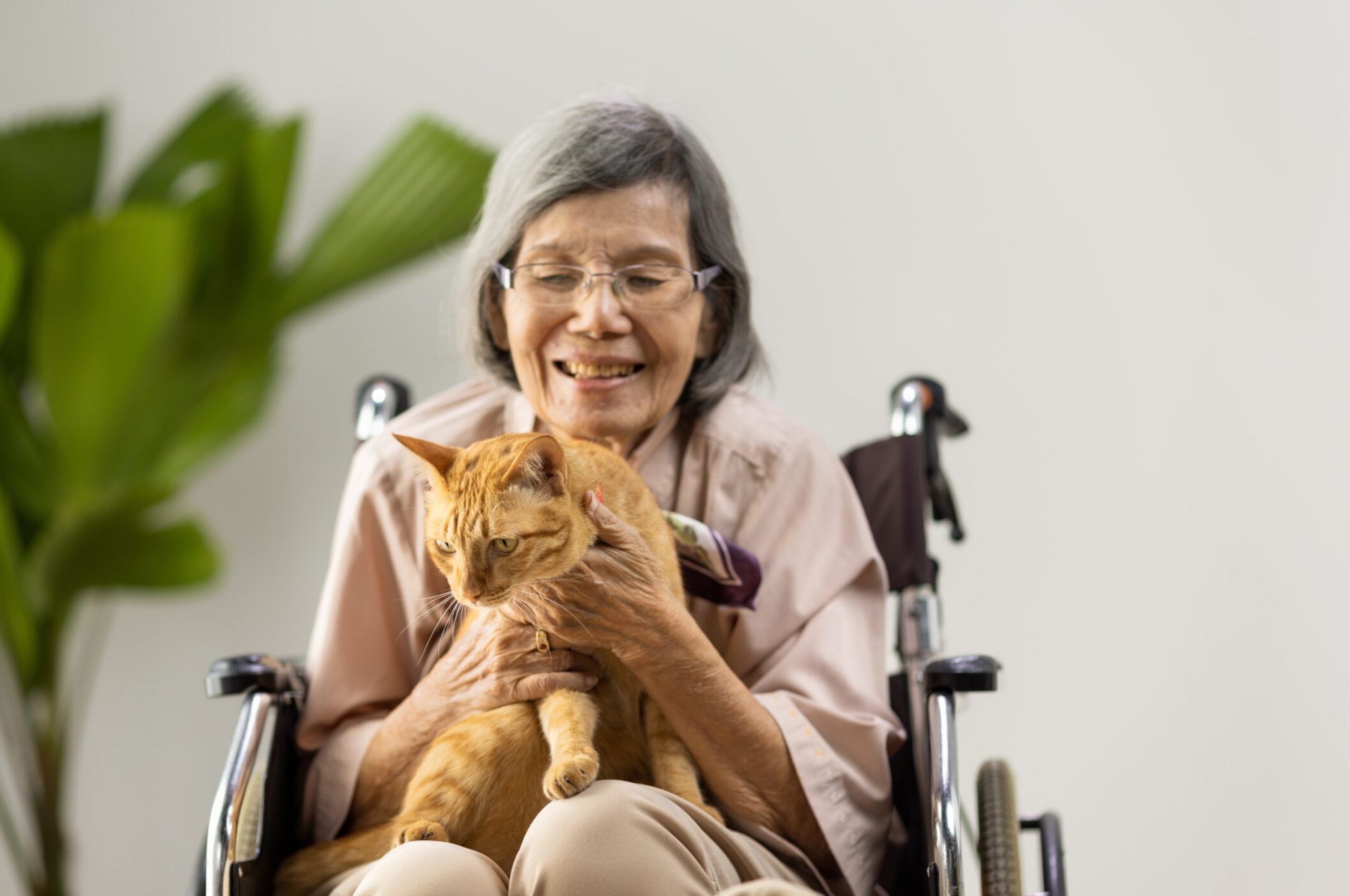 Pet,Therapy,In,Dementia,Treatment,On,Elderly,Woman.